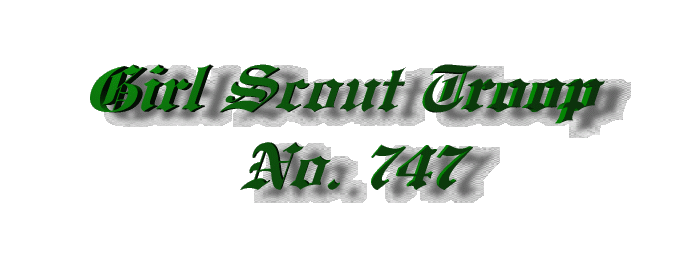GirlScout.gif (28693 bytes)